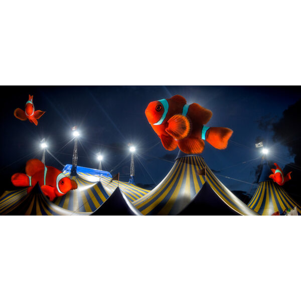 Clownfish Circus