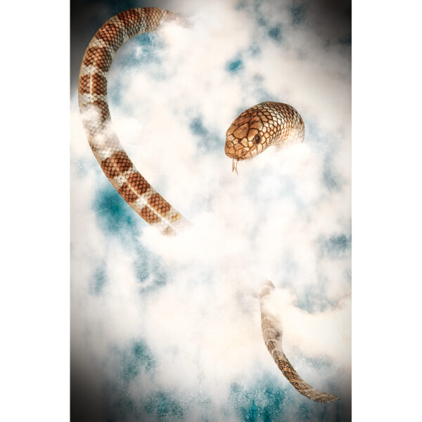 sea snake sky