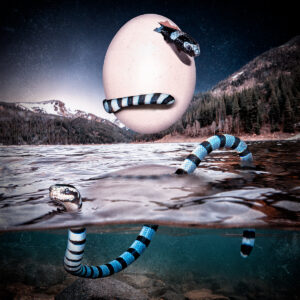 Birth of A New Snake