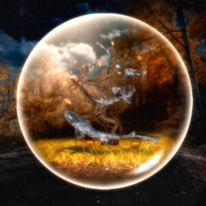 Lifespan of A Bubble
