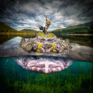 Mountain Swamp
