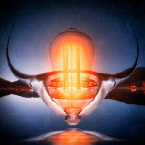 Nightlight