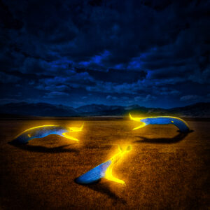 Ribbons in the Night