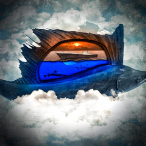 Sailfishing