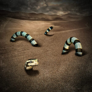 Sea of Sands