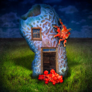 Teardrop Home
