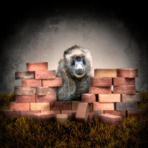 bricklayer