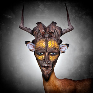 Illusions Of Africa