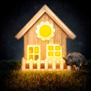 Ostrich Bird House