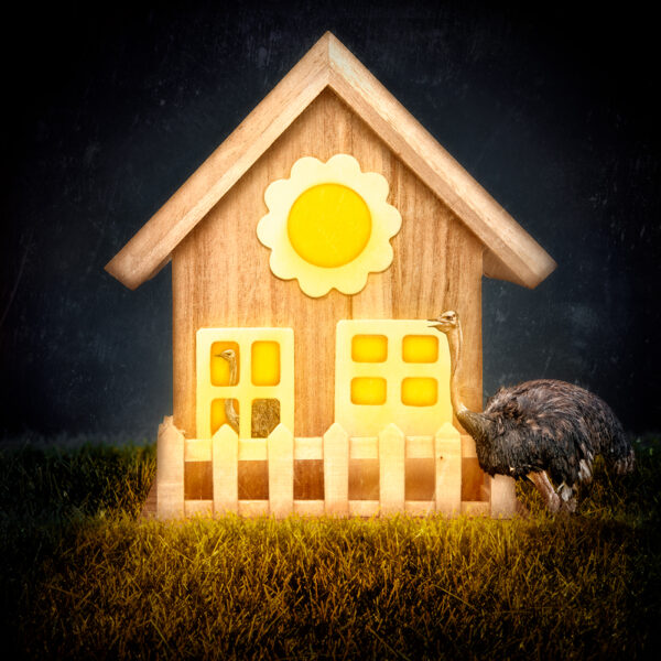 Ostrich Bird House