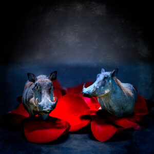 Romantic Evening