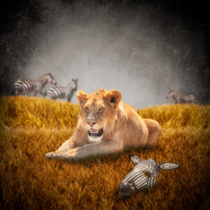 The Imposter