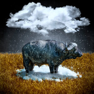 Traveling Storm