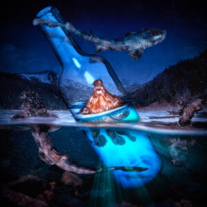 Messenger in a Bottle