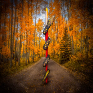 Painting the Trees Their Fall Colors