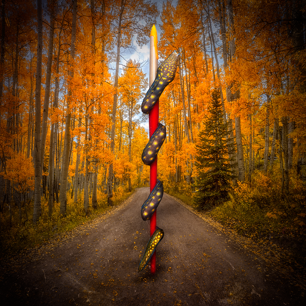 Painting the Trees Their Fall Colors