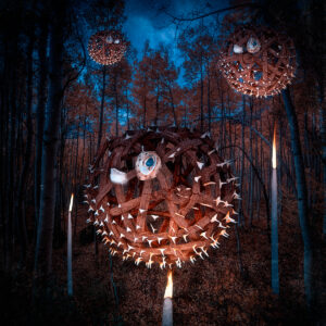 Woodlands Pufferfish